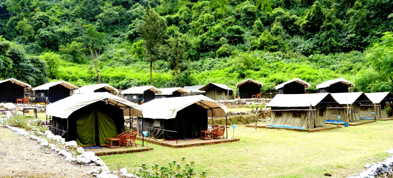 Tents along a green lawn at a forest camp in Rishikesh