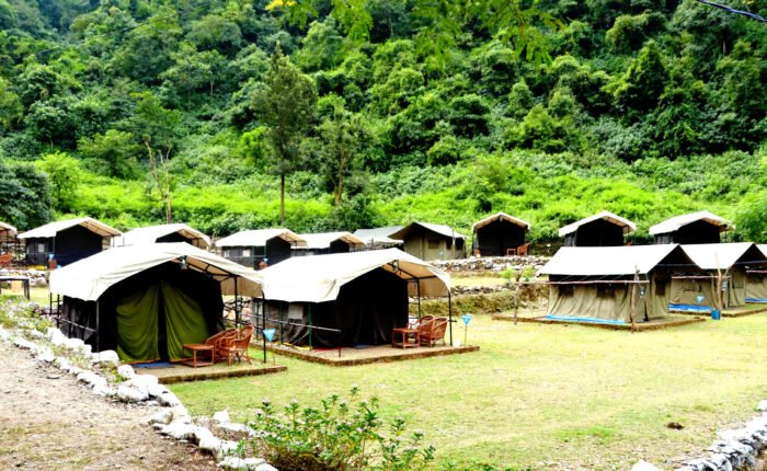Tents along a green lawn at a forest camp in Rishikesh