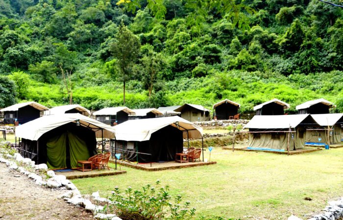 Tents along a green lawn at a forest camp in Rishikesh