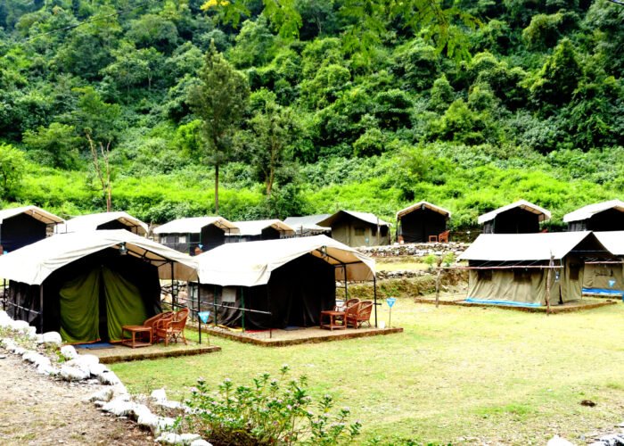 Tents along a green lawn at a forest camp in Rishikesh