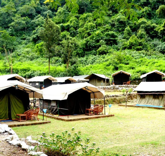 Tents along a green lawn at a forest camp in Rishikesh
