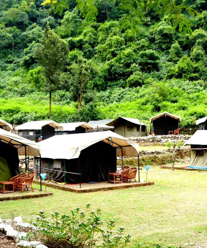 Tents along a green lawn at a forest camp in Rishikesh