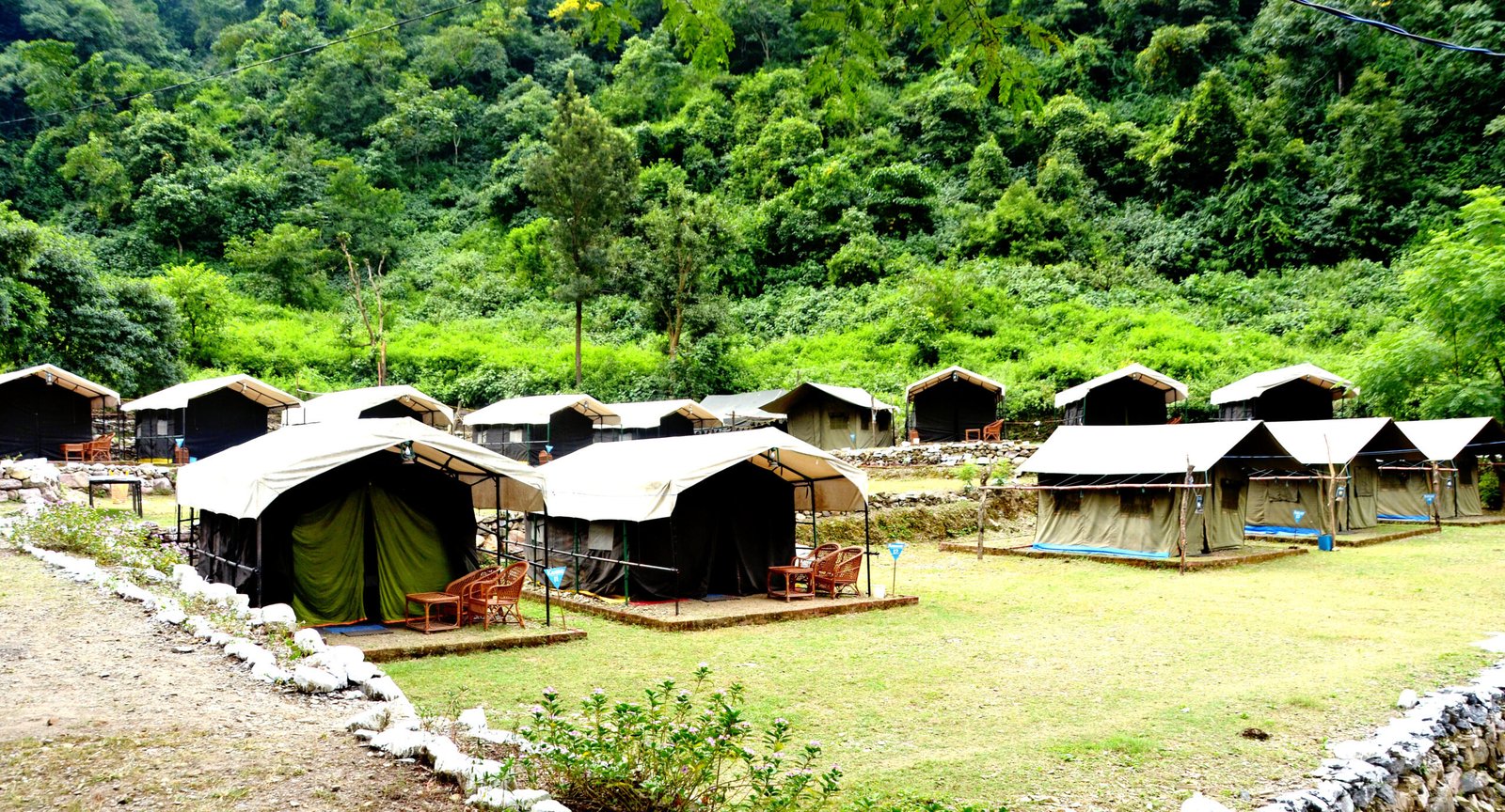 Tents along a green lawn at a forest camp in Rishikesh