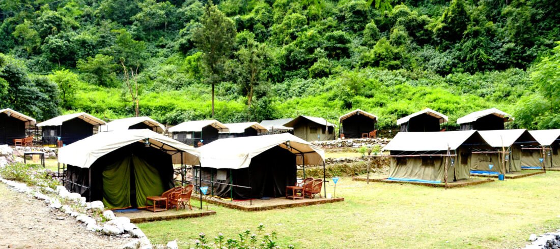 Tents along a green lawn at a forest camp in Rishikesh