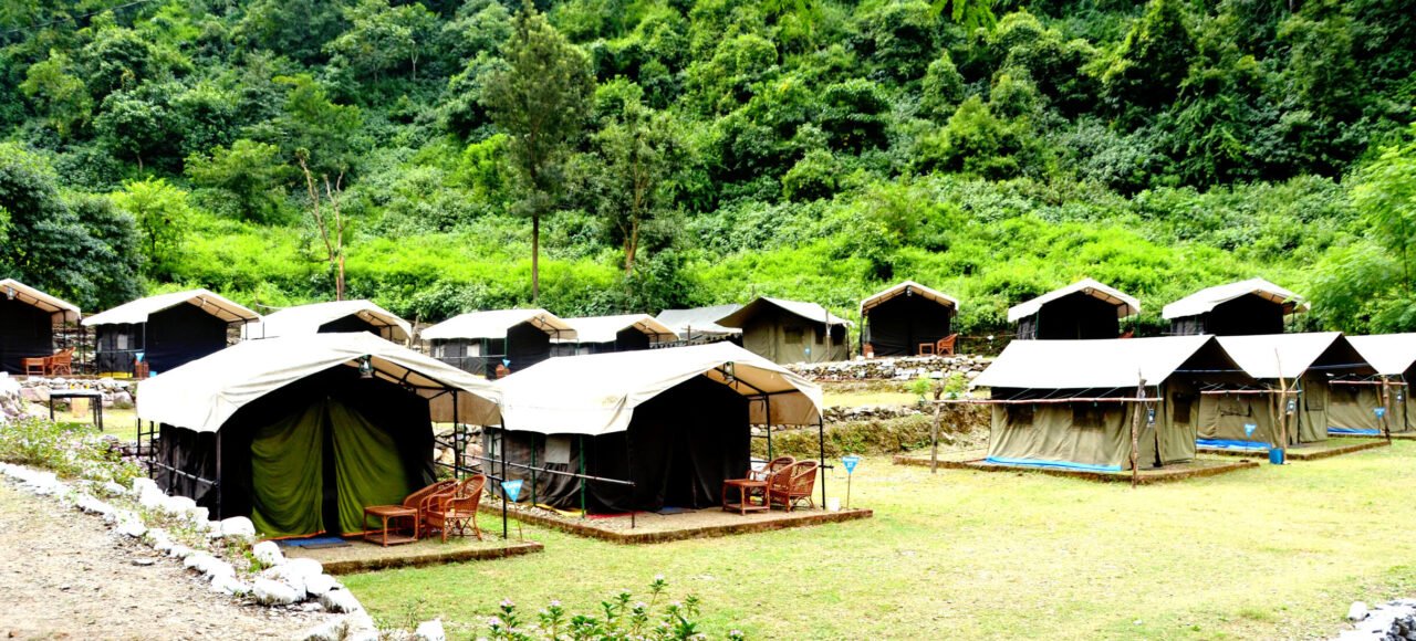 Tents along a green lawn at a forest camp in Rishikesh