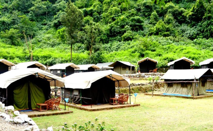 Tents along a green lawn at a forest camp in Rishikesh