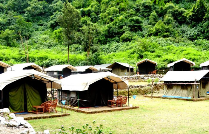 Tents along a green lawn at a forest camp in Rishikesh