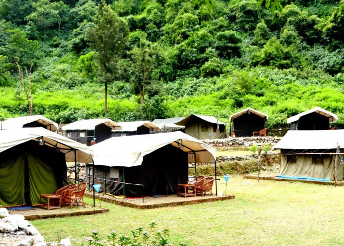 Tents along a green lawn at a forest camp in Rishikesh