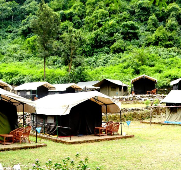 Tents along a green lawn at a forest camp in Rishikesh