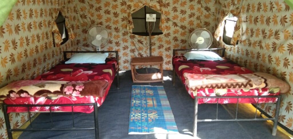 Beds and rug inside a tent at our camp near Rishikesh