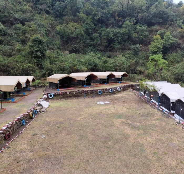 Wide view of the campsite and tents in the forest valley near Rishikesh