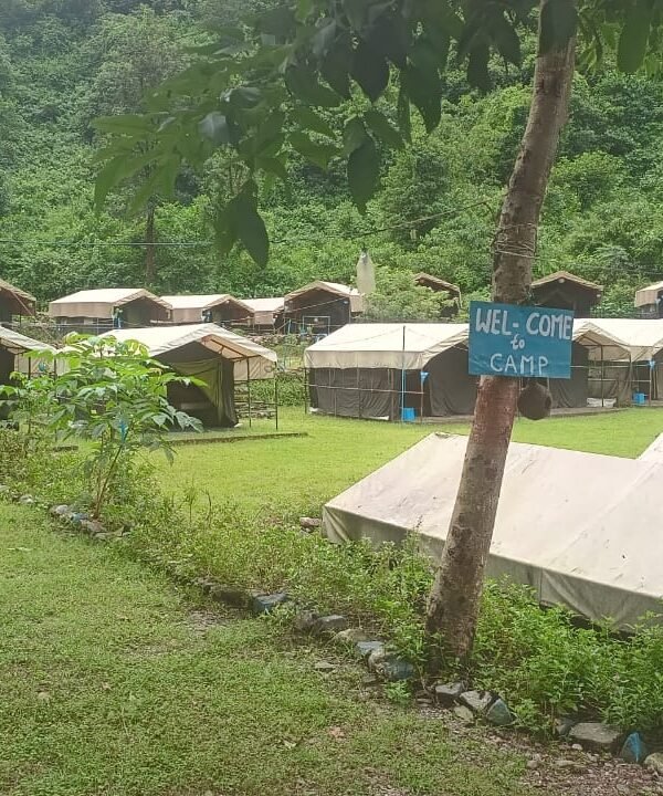 Tents along the lawn at our forest camp near Shivpuri, Rishikesh