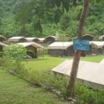 Tents along the lawn at our forest camp near Shivpuri, Rishikesh